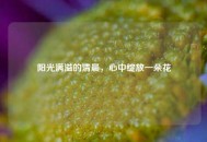 阳光满溢的清晨，心中绽放一朵花