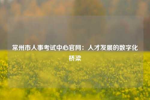 常州市人事考试中心官网：人才发展的数字化桥梁