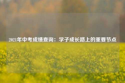 2021年中考成绩查询：学子成长路上的重要节点