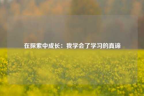 在探索中成长:我学会了学习的真谛